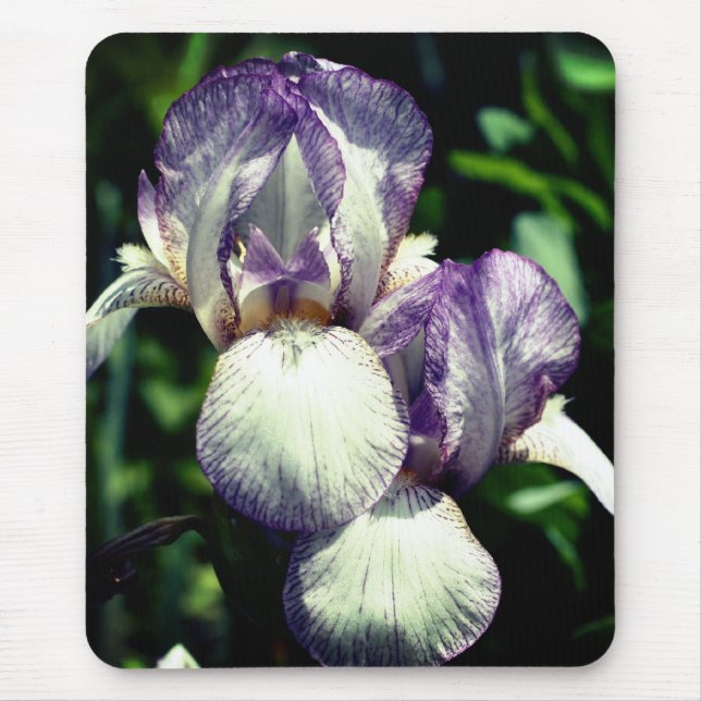 Tapis De Souris Fleur de paire Iris à poils (Devant)