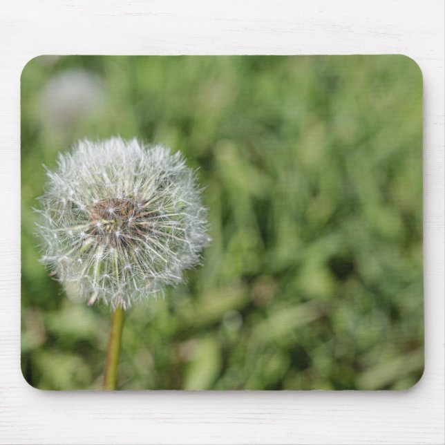 Tapis De Souris Fleur de pissenlit blanc sur herbe verte (Devant)
