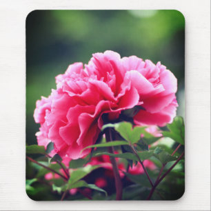 Tapis De Souris Fleur de pivoine rose dans le jardin-33333