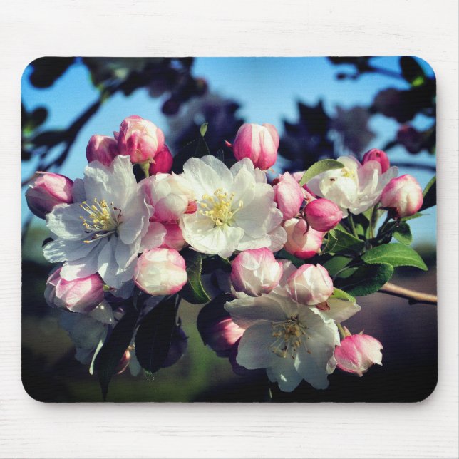 Tapis De Souris Fleur de printemps étonnante (Devant)