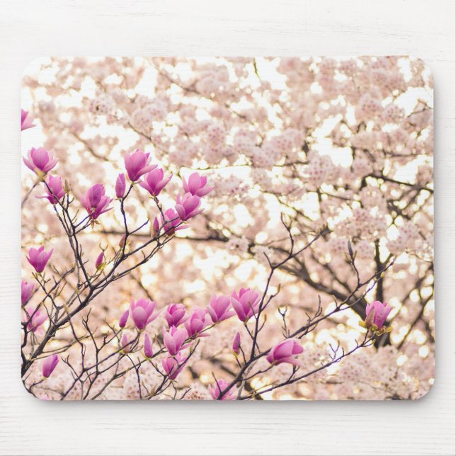 Tapis De Souris Fleur de printemps rose pourpre en floraison (Devant)