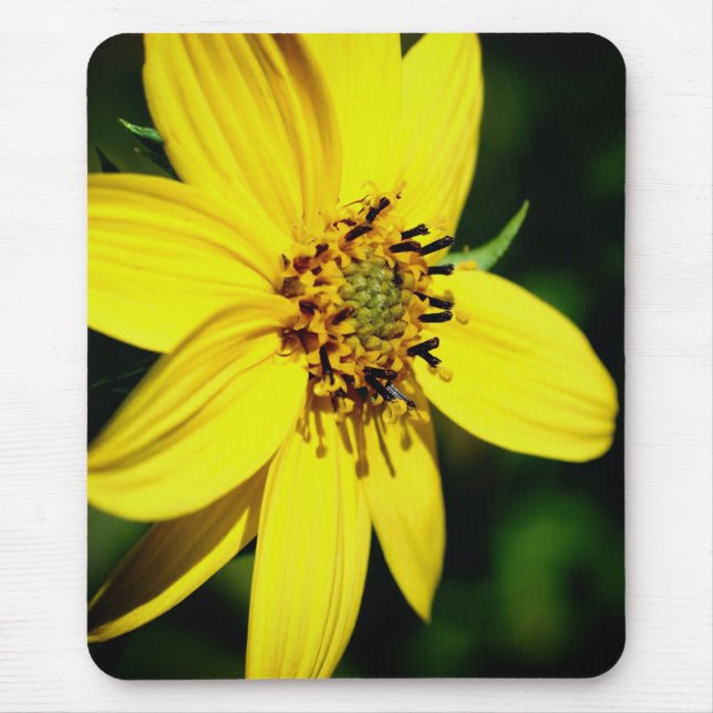 Tapis De Souris Fleur de tournesol Maximilienne (Devant)