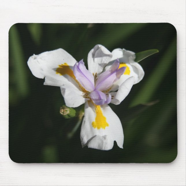 Tapis De Souris fleur délicate (Devant)
