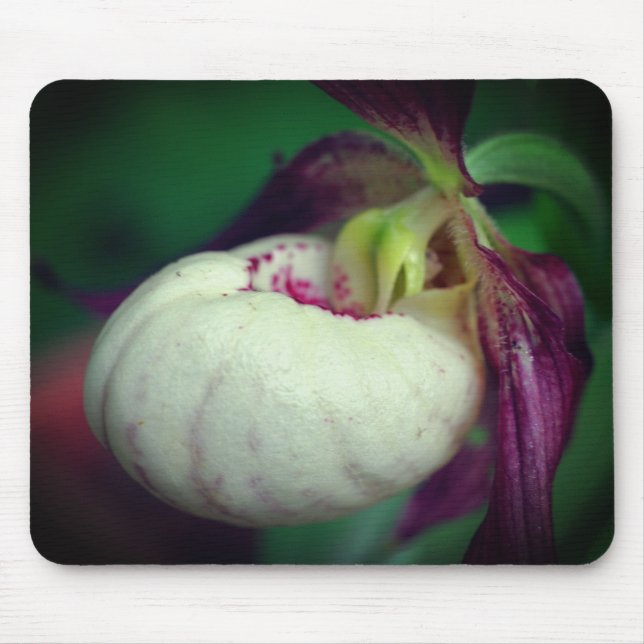 Tapis De Souris Fleur d'orchidée blanche (Devant)