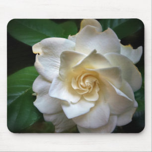 Tapis De Souris Fleur Gardenia blanche