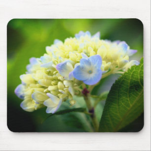 Tapis De Souris Fleur Hydrangea douce