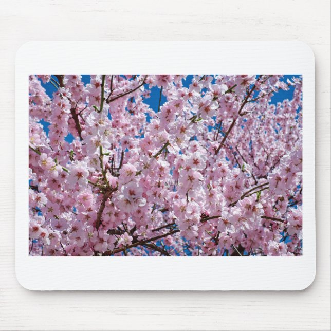 Tapis De Souris Fleur japonaise de cerisier (Devant)