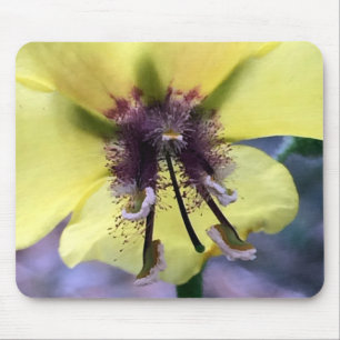 Tapis De Souris Fleur jaune 3