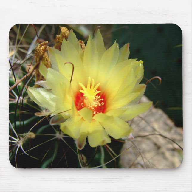 Tapis De Souris Fleur jaune de cactus d'hameçon (Devant)