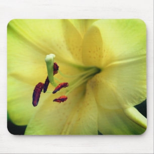 Tapis De Souris Fleur jaune pâle presque