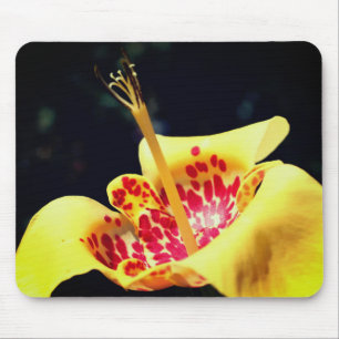 Tapis De Souris Fleur Lily tachetée Jaune