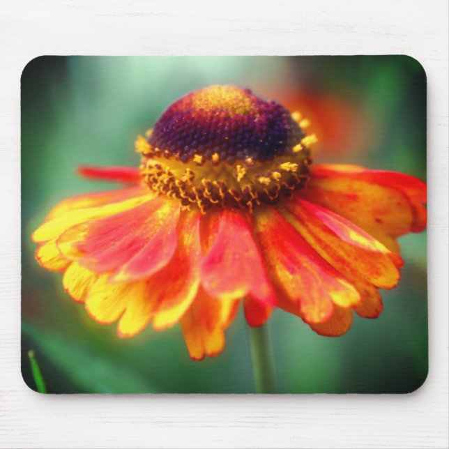 Tapis De Souris Fleur marguerite orange jaune Zinnia (Devant)