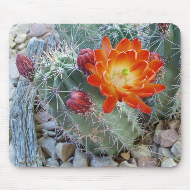 Tapis De Souris Fleur Mousepad de cactus de tasse de claret (Devant)