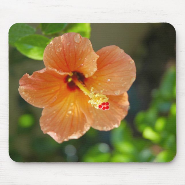 Tapis De Souris Fleur Mousepad de Hibiscis (Devant)
