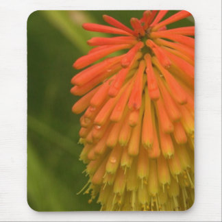 Tapis De Souris Fleur orange