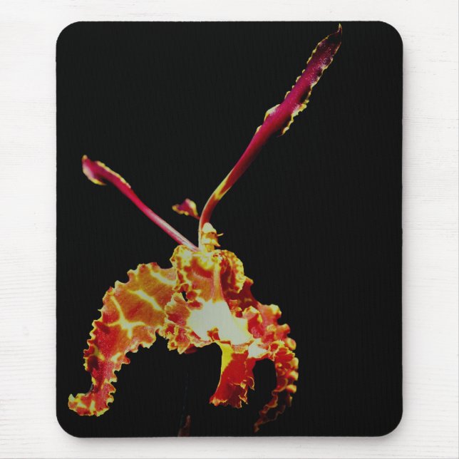 Tapis De Souris Fleur Orange (Devant)