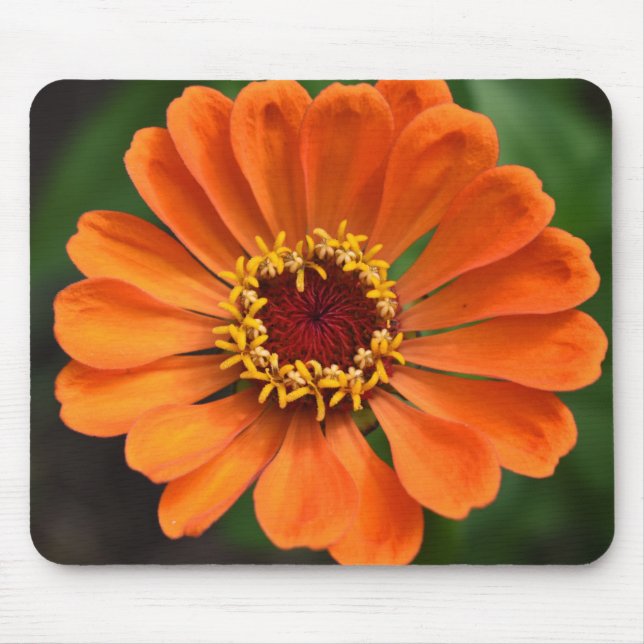Tapis De Souris Fleur orange unique (Devant)