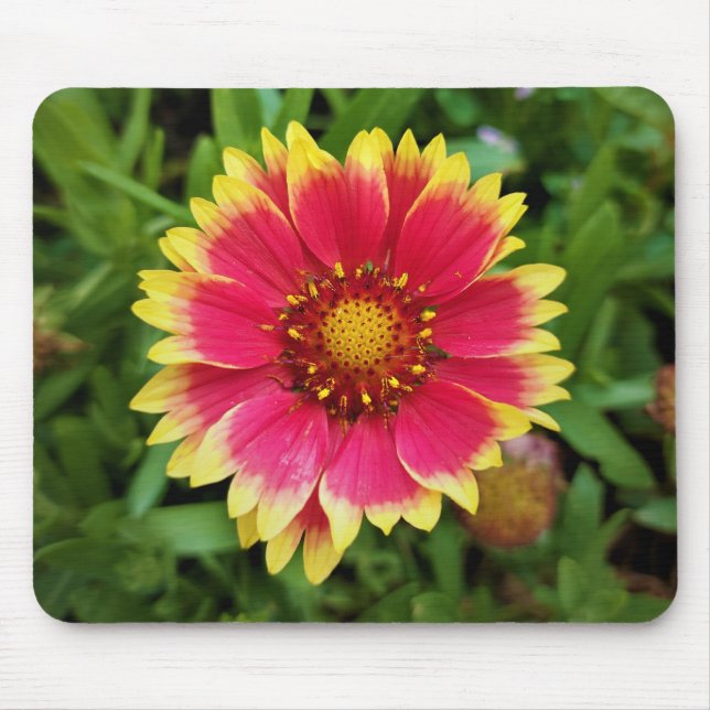 Tapis De Souris Fleur ouverte (Devant)