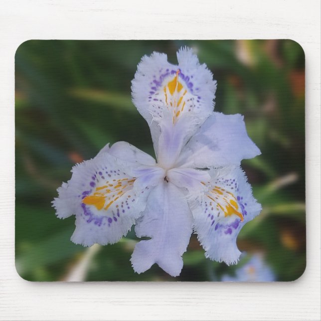 Tapis De Souris Fleur papillon (Devant)