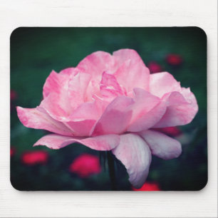 Tapis De Souris Fleur rose céleste