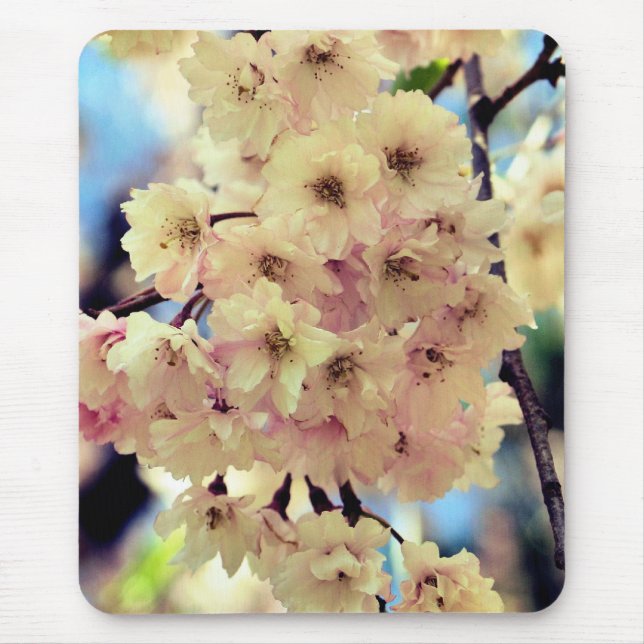 Tapis De Souris Fleur rose de printemps (Devant)