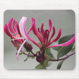 Tapis De Souris Fleur rose Mousepad de chèvrefeuille