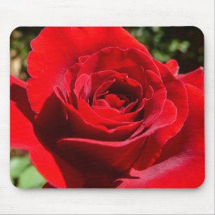 Tapis De Souris Fleur rose rouge vif Belle florale