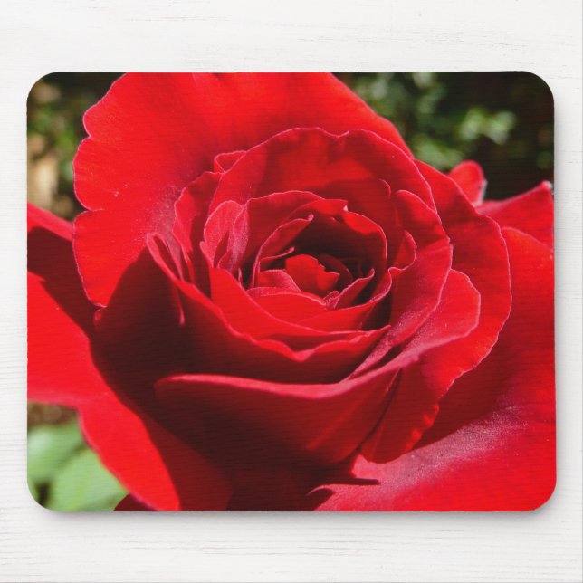Tapis De Souris Fleur rose rouge vif Belle florale (Devant)