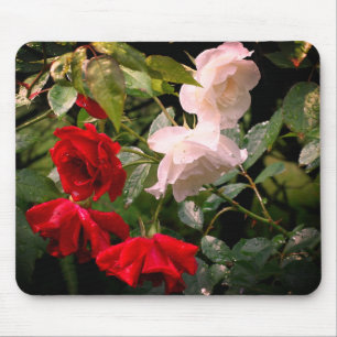 Tapis De Souris Fleur Rose trempée