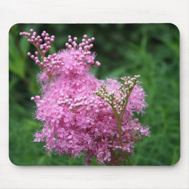 Tapis De Souris Fleur rose unique Mousepad (Devant)