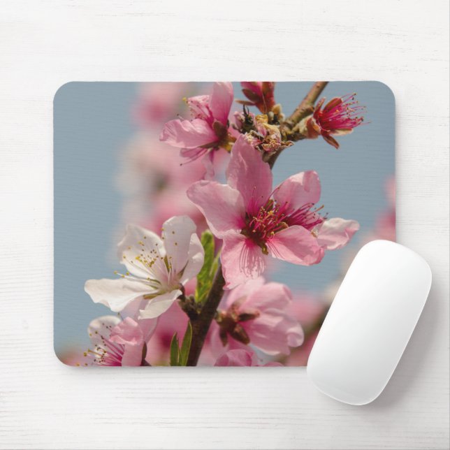 Tapis De Souris Fleur Sakura, Fleur japonaise rose (Avec souris)