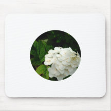 Tapis de souris Fleur sauvage
