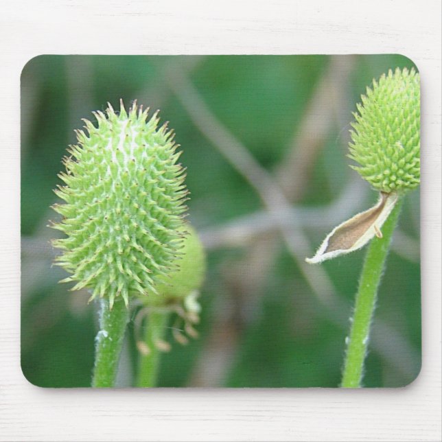 TAPIS DE SOURIS FLEUR SAUVAGE 2 (Devant)