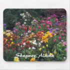 Fleur sauvage, Alaska