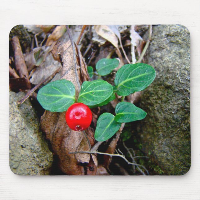 Tapis De Souris Fleur sauvage Berry Partridge (Devant)