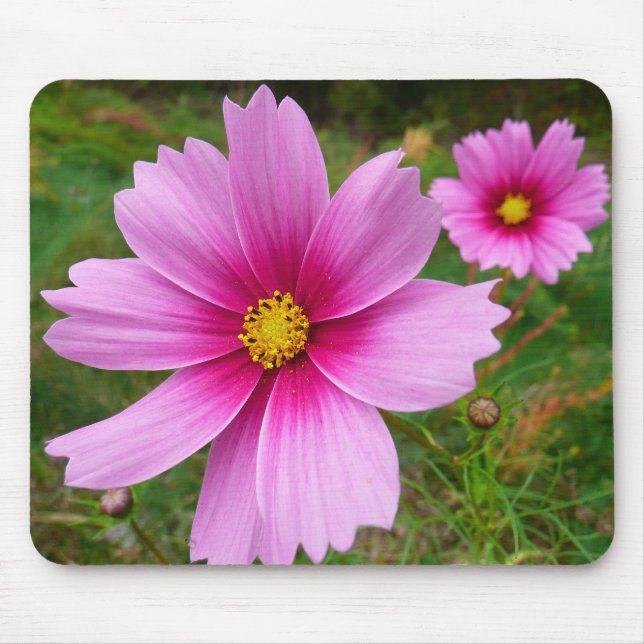 Tapis De Souris Fleur sauvage de fleurs Cosmos roses (Devant)