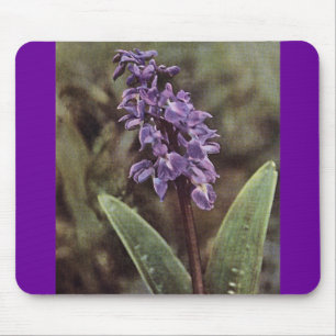 Tapis De Souris Fleur sauvage : Orchidées violettes précoces