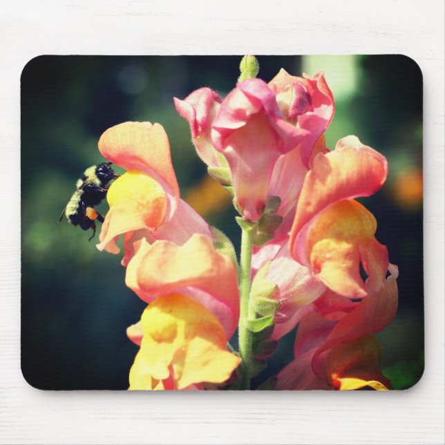 Tapis De Souris Fleur Snapdragon Et Abeille Bumble (Devant)