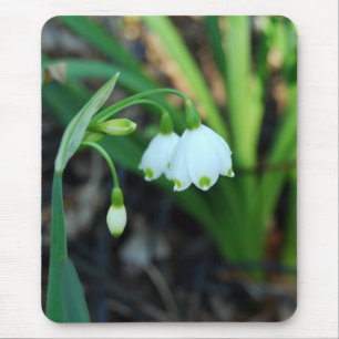 Tapis De Souris Fleurs blanches sensibles d'Alleghany Spurge