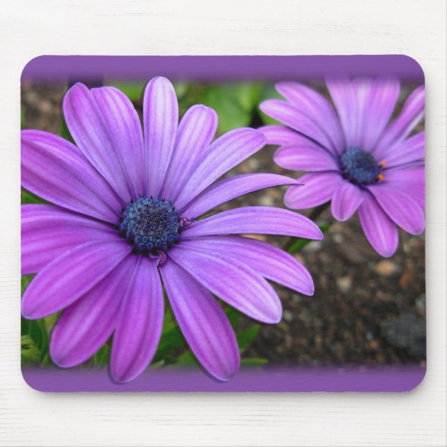 Tapis De Souris Fleurs Bleues Mousepad Daisy Daisy Cadeaux Ordinat (Devant)