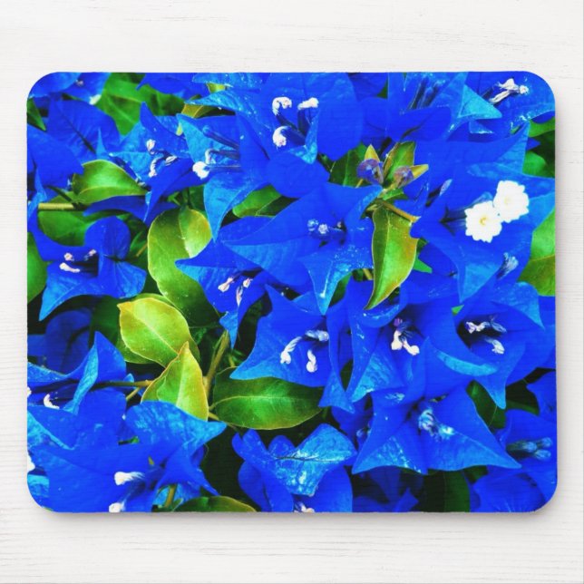 Tapis De Souris Fleurs bleues vibrantes de bouganvillée (Devant)