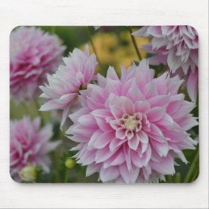 Tapis De Souris Fleurs Dahlia roses au RHS Garden Wisley