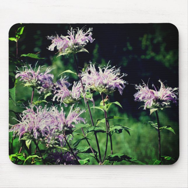 Tapis De Souris Fleurs de baume d'abeille violet (Devant)