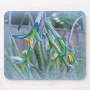 Tapis De Souris Fleurs de bromeliade sur bleu