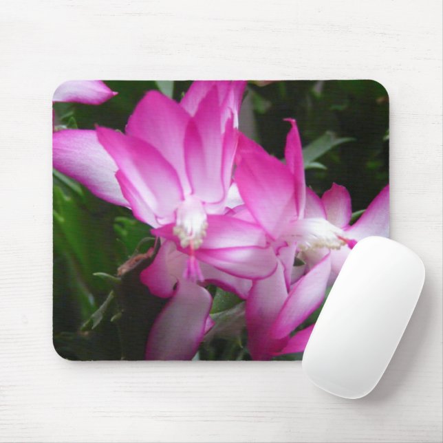 Tapis De Souris Fleurs de cactus de Noël Mousepad (Avec souris)