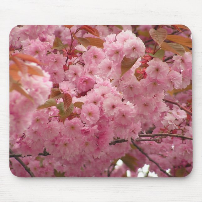 Tapis De Souris Fleurs de cerisier (Devant)