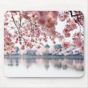 Tapis De Souris Fleurs de cerisiers
