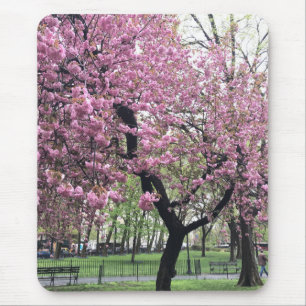 Tapis De Souris Fleurs de cerisiers roses printemps New York City