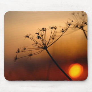 Tapis De Souris Fleurs de champ de coucher du soleil