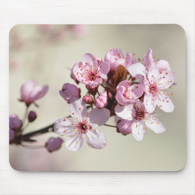 Tapis De Souris Fleurs de fleurs de cerisier (Devant)